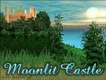 Moonlit Castle